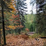 La Maison De Marie Les Rouges-Eaux