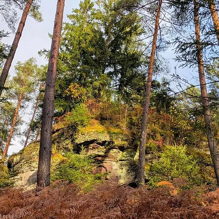 La Maison De Marie Bed and breakfast Les Rouges-Eaux