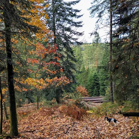 La Maison De Marie Les Rouges-Eaux