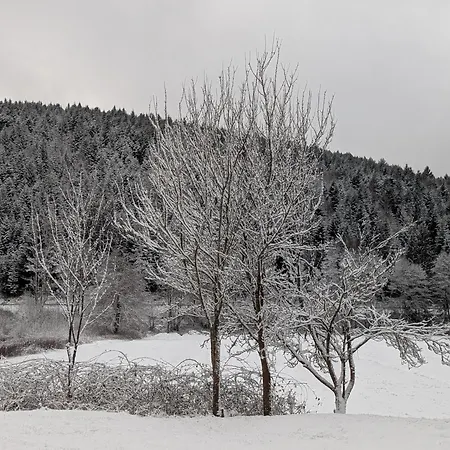 住宿加早餐酒店 La Maison De Marie Les Rouges-Eaux