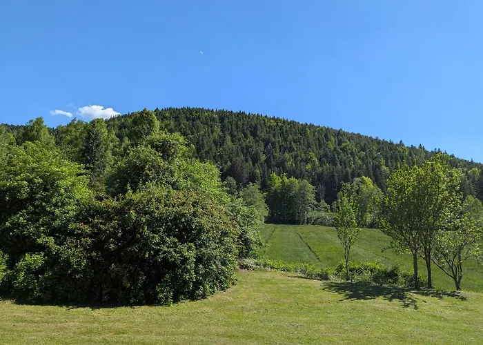 La Maison De Marie 住宿加早餐酒店 Les Rouges-Eaux