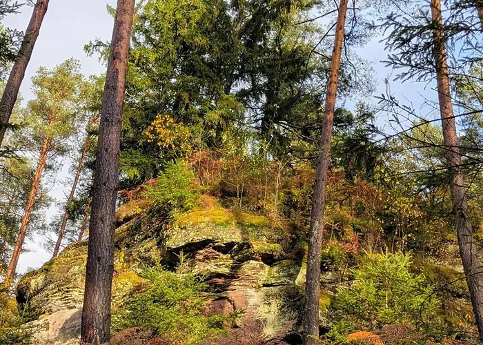 La Maison De Marie 住宿加早餐酒店 Les Rouges-Eaux