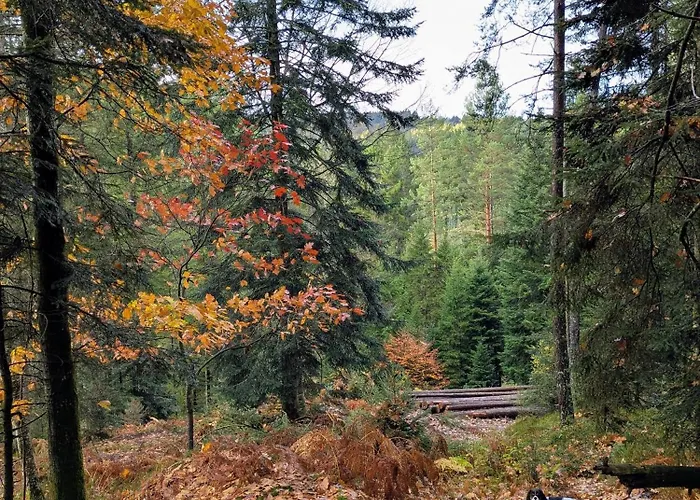 La Maison De Marie Les Rouges-Eaux