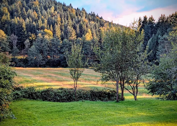 La Maison De Marie 住宿加早餐酒店 Les Rouges-Eaux