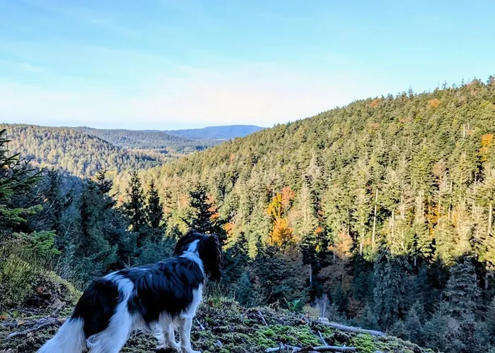 Alojamento de Acomodação e Pequeno-almoço La Maison De Marie *