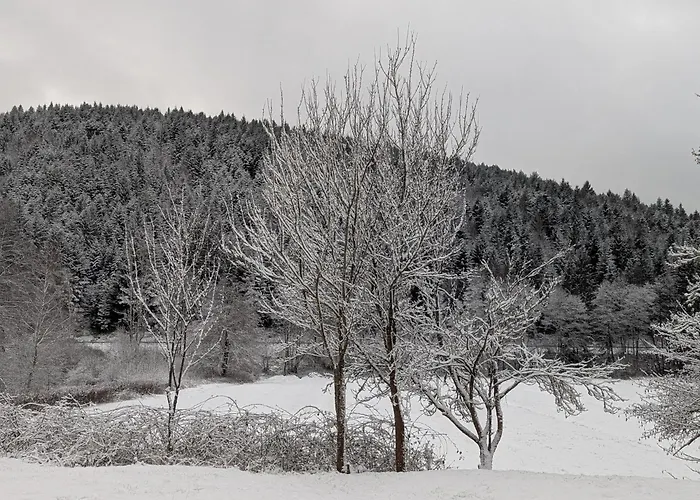 住宿加早餐酒店 La Maison De Marie Les Rouges-Eaux