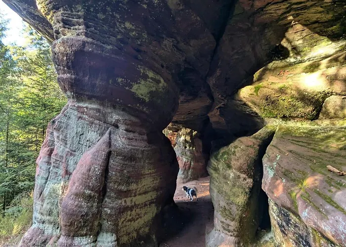 La Maison De Marie *